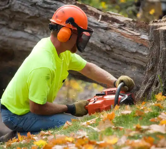 tree services Fish Springs